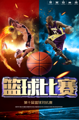 鹰所